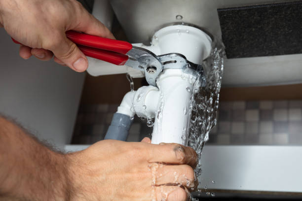Best 24-hour water damage restoration  in Jackson, TN