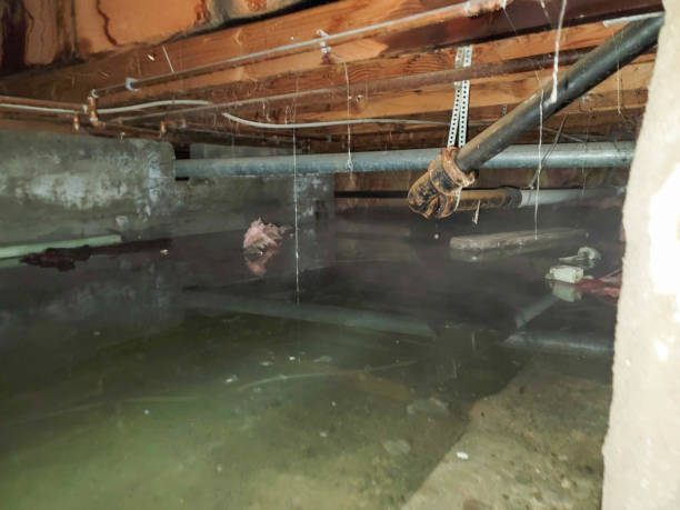 Reliable Jackson, TN Water damage restoration Solutions