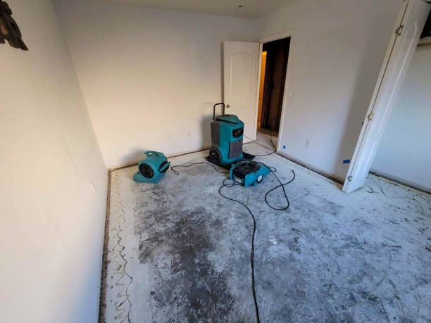 Best Ceiling water damage repair  in Jackson, TN