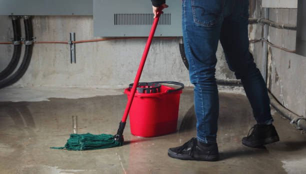 Best Basement water damage restoration  in Jackson, TN