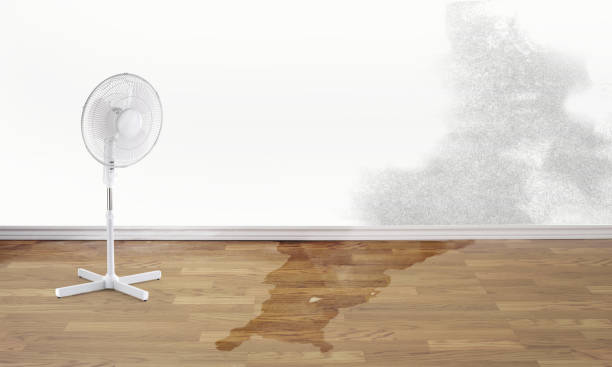 Water damage restoration insurance claims in Jackson, TN