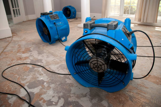 Best Water damage contractors near me  in Jackson, TN