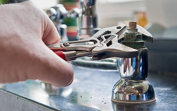 Best Flood damage cleanup  in Jackson, TN
