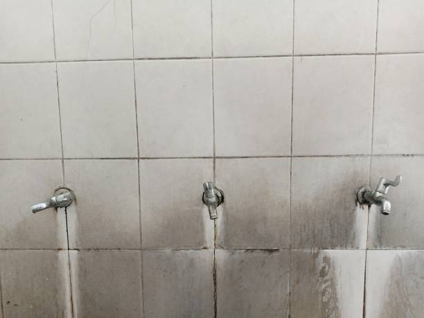 Best Water damage restoration near me  in Jackson, TN