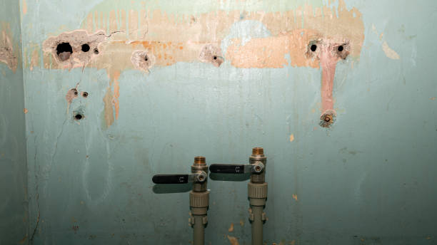 Jackson, TN Water damage restoration Pros