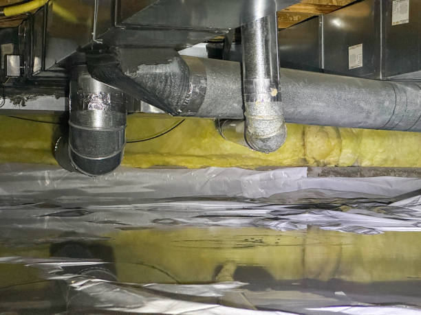 Best Sewage cleanup and water damage restoration  in Jackson, TN