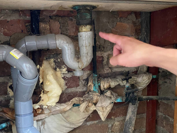 Best Carpet water damage restoration  in Jackson, TN
