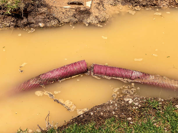 Best Local water damage restoration  in Jackson, TN