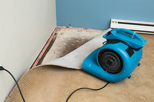 Best Water damage restoration insurance claims  in Jackson, TN